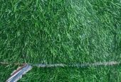Green carpet