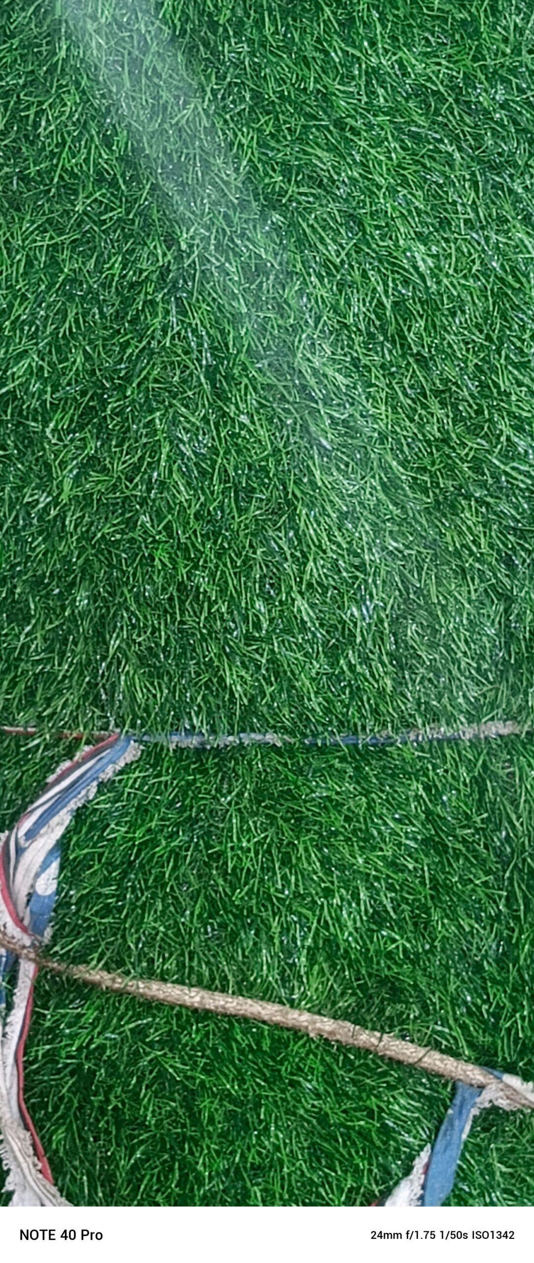 Green carpet