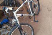 Mountain bicycle