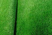 Green grass carpet