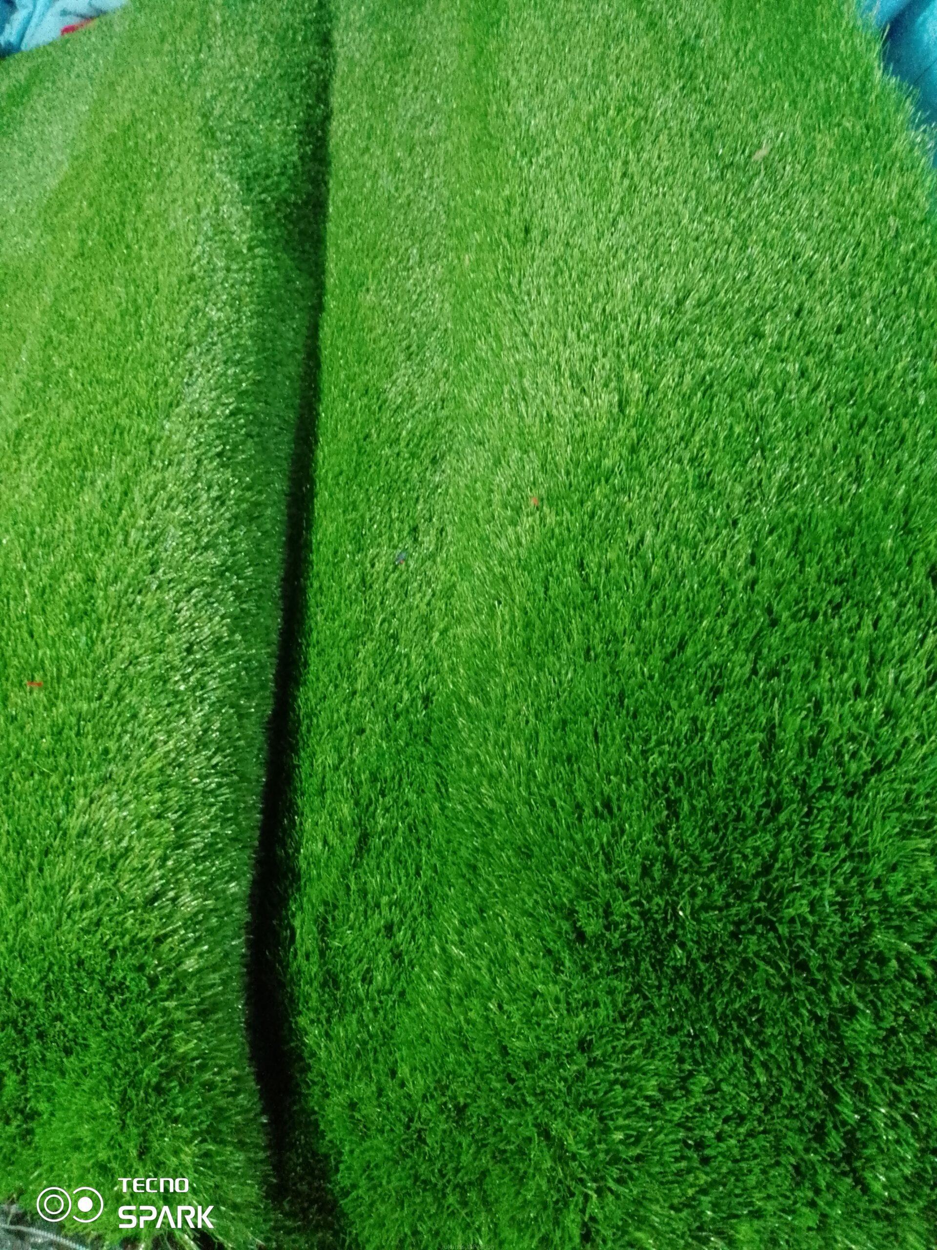 Green grass carpet