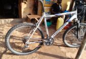 Mountain bicycle