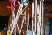 Walking sticks