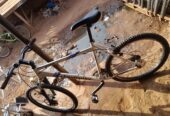 Mountain bicycle