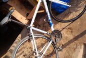 Road race sport bicycle