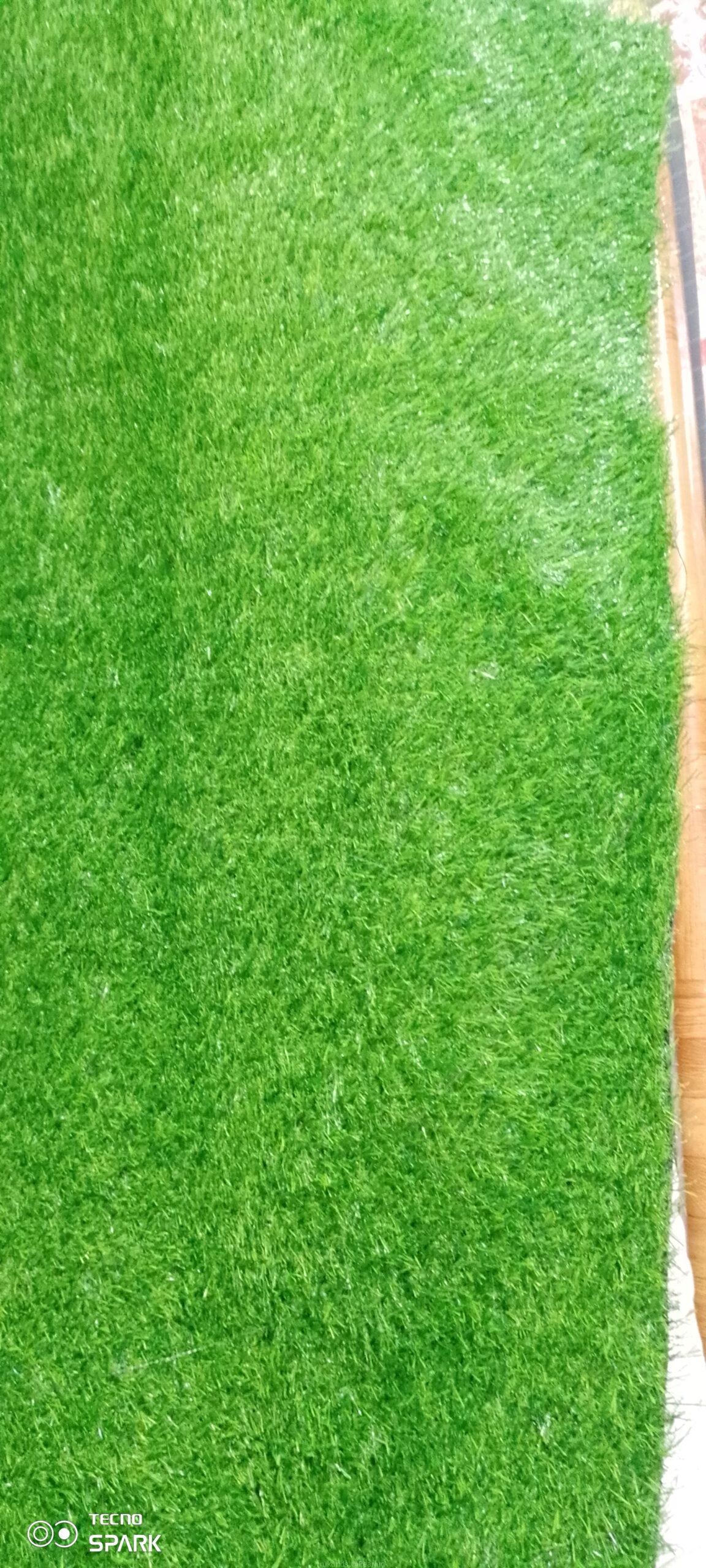 Green grass carpet