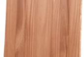 Door shutters