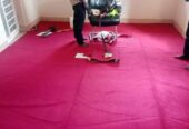 Carpet