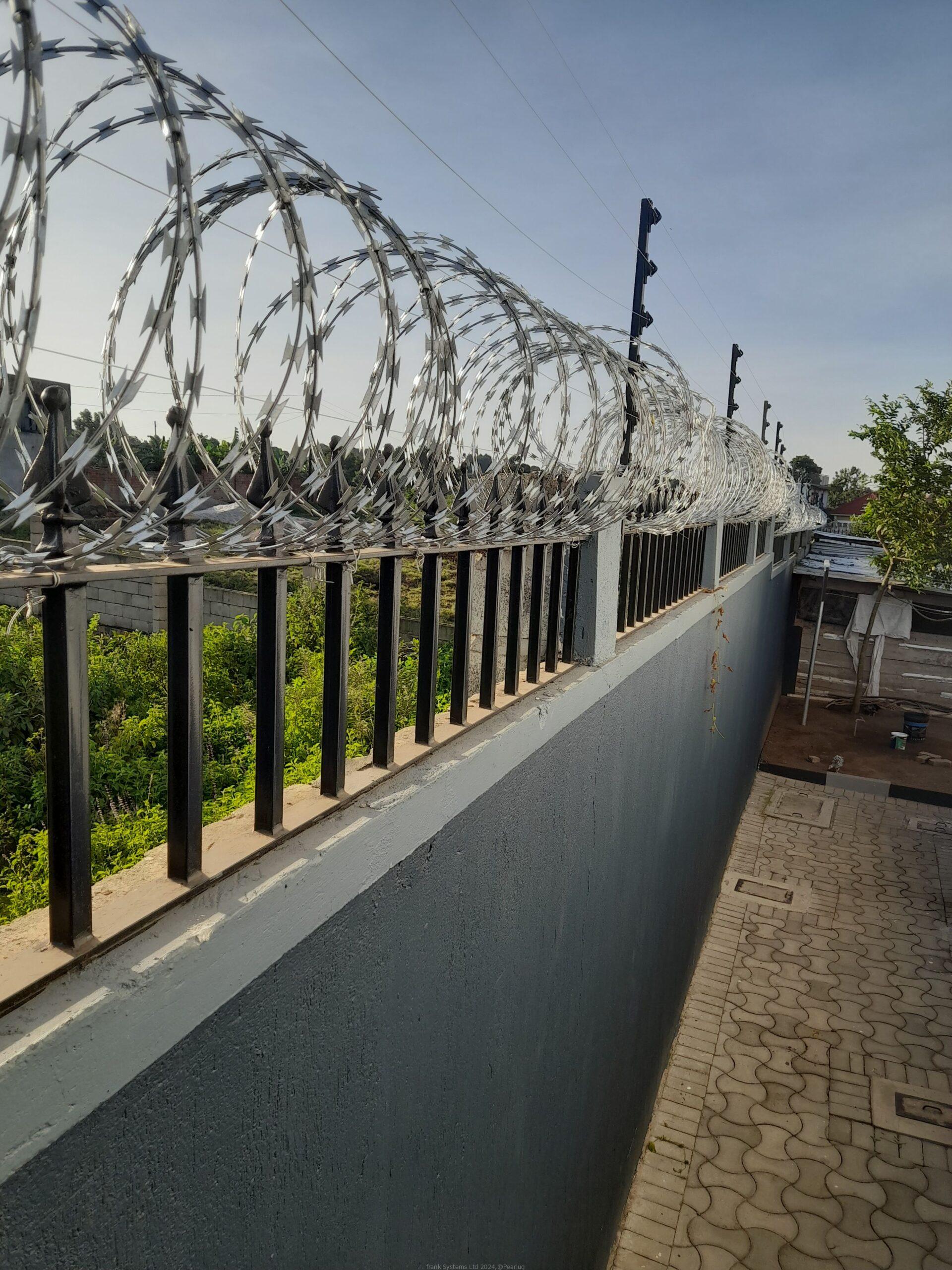 Electric fence system with razor wire fencing