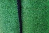 GREEN CARPET