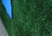 Green carpet