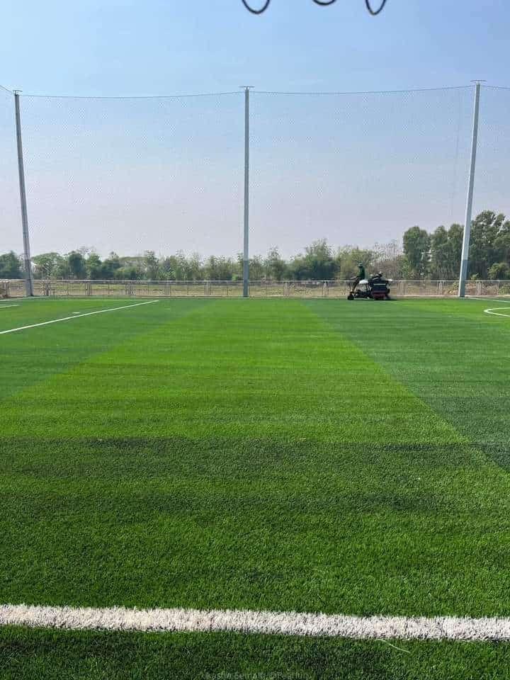 Artificial Turf/Grass carpets