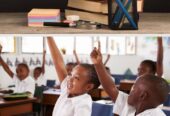 Education savings/insurance