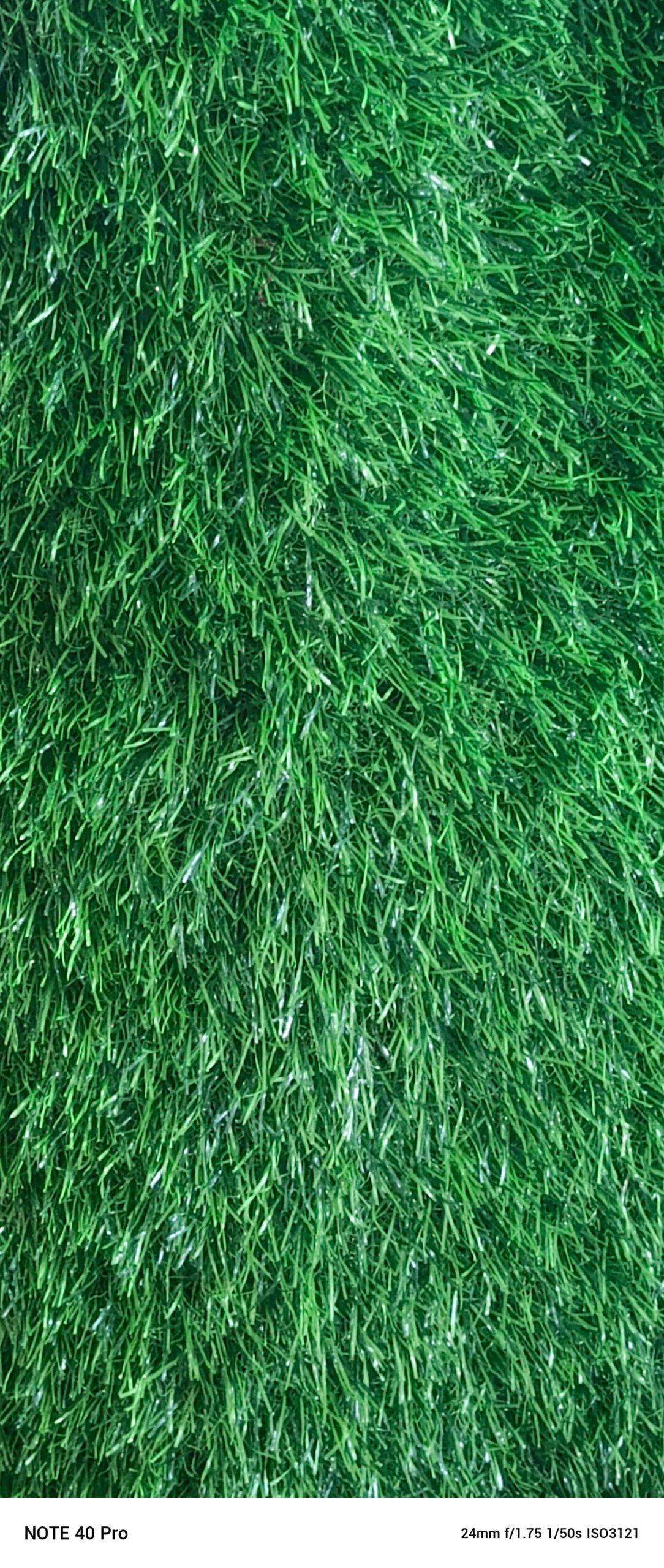 GREEN CARPETS