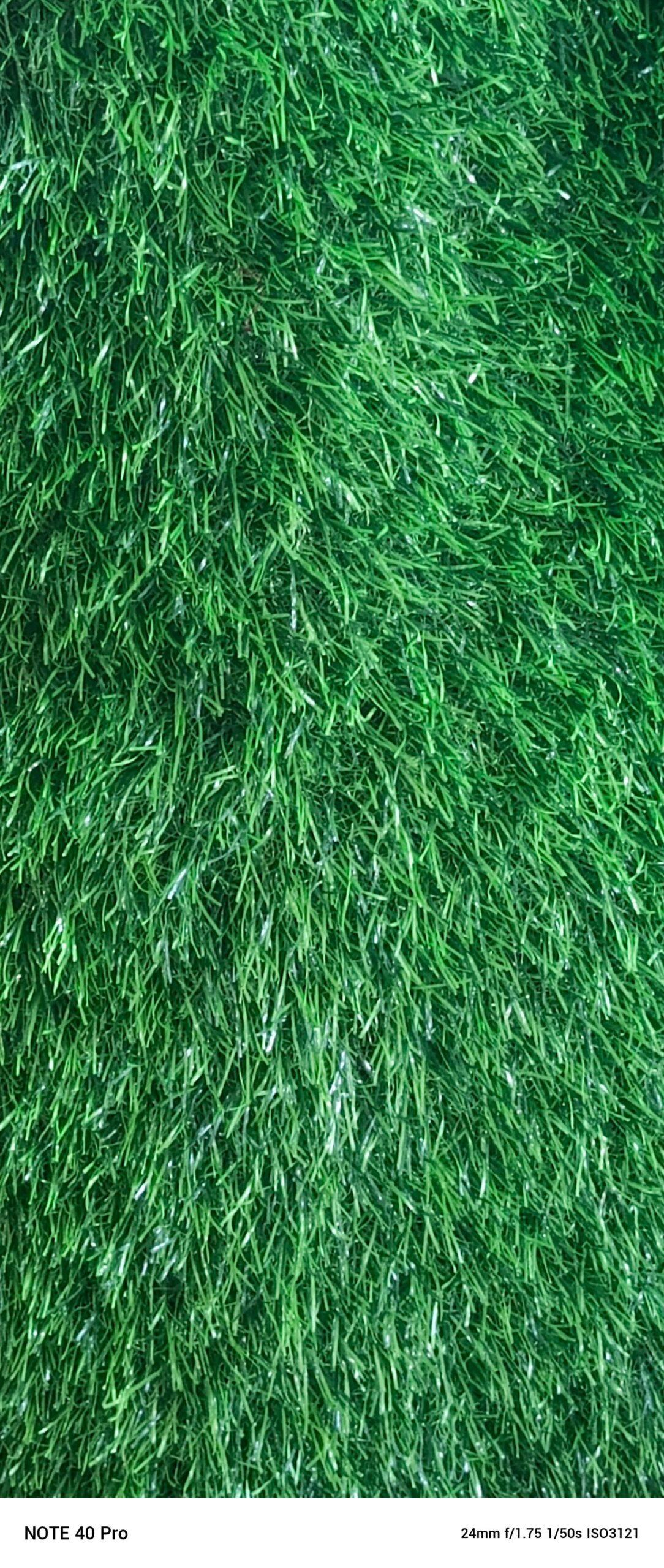 GREEN CARPETS