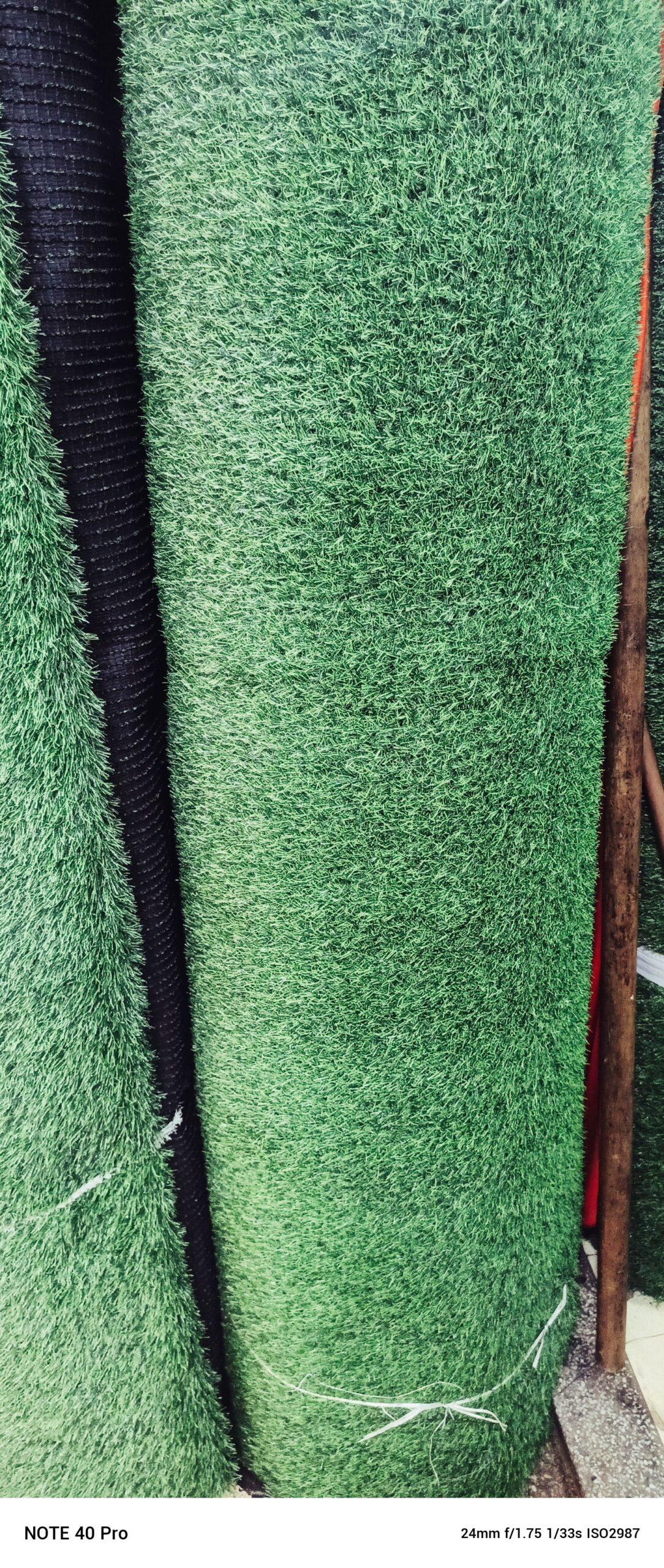 GREEN CARPET AVAILABLE