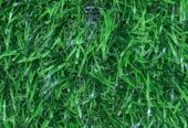 GREEN GRASS
