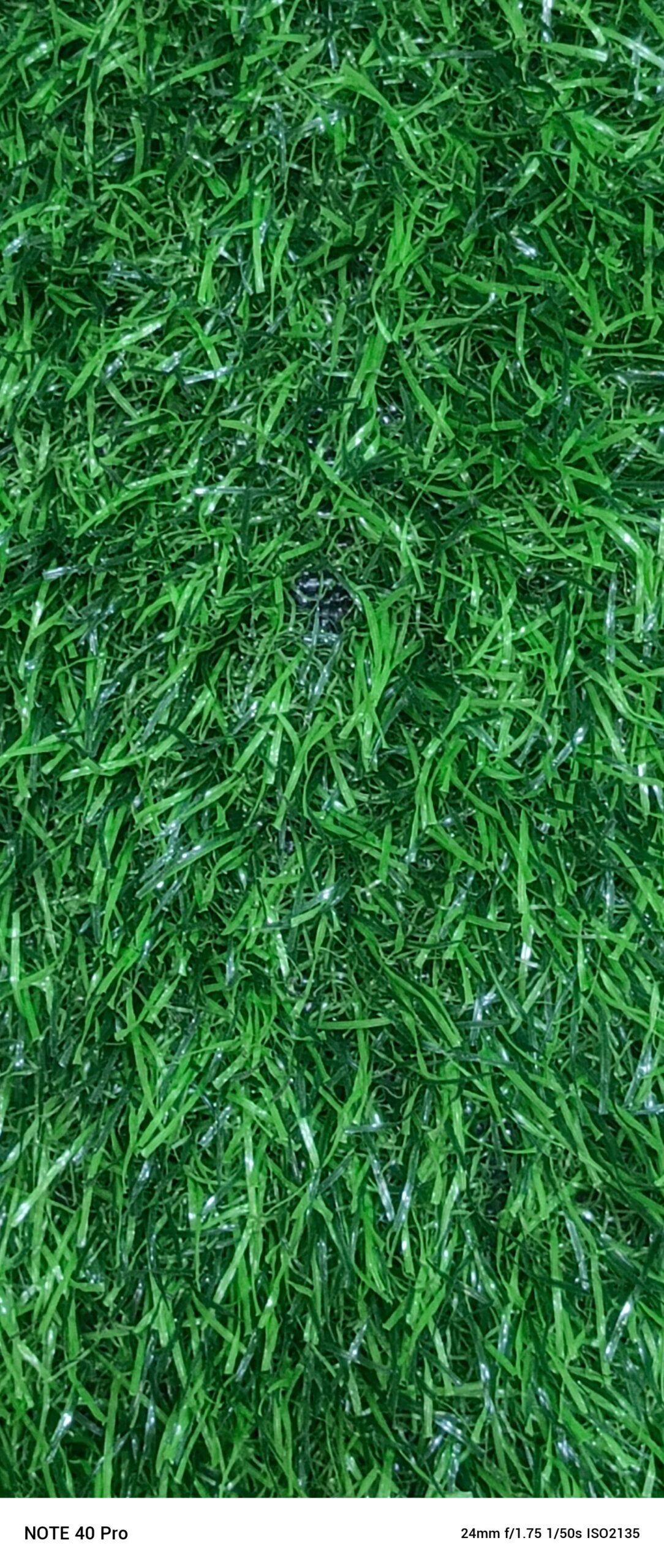 GREEN GRASS