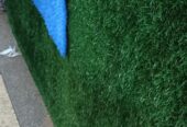 Green carpet