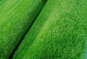 Green grass carpet