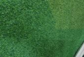 Green carpet available