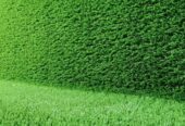 Artificial turf grass carpet