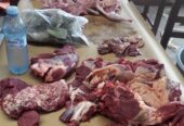 Local foods chef