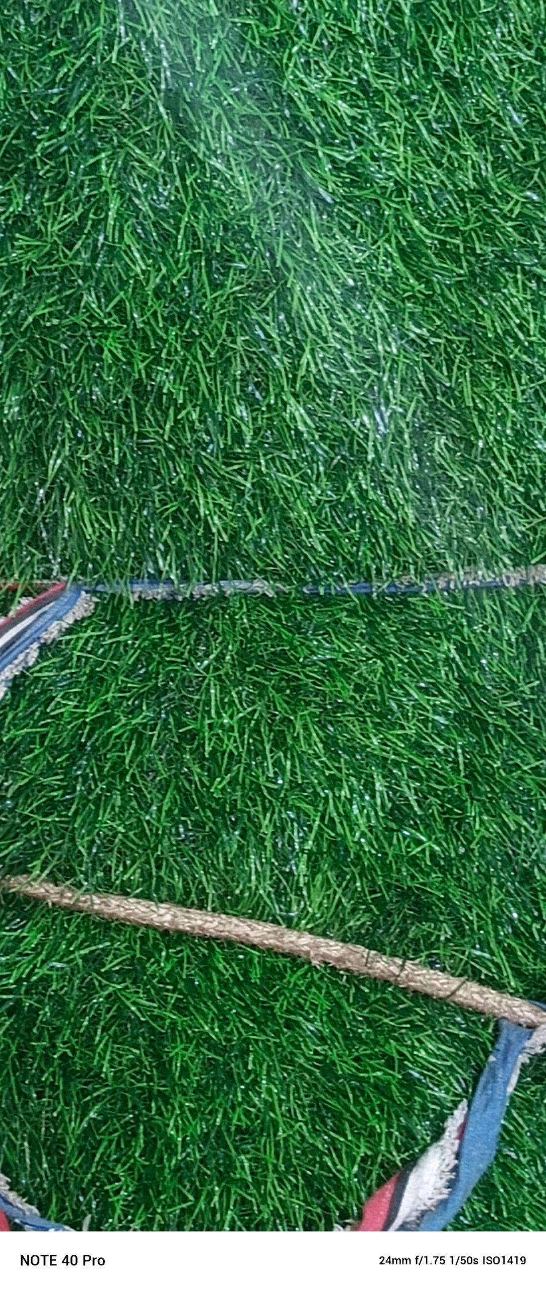 Green carpet