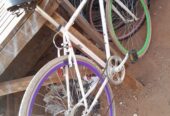 sport Bicycle