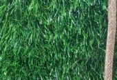 GREEN CARPETS