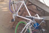 sport Bicycle