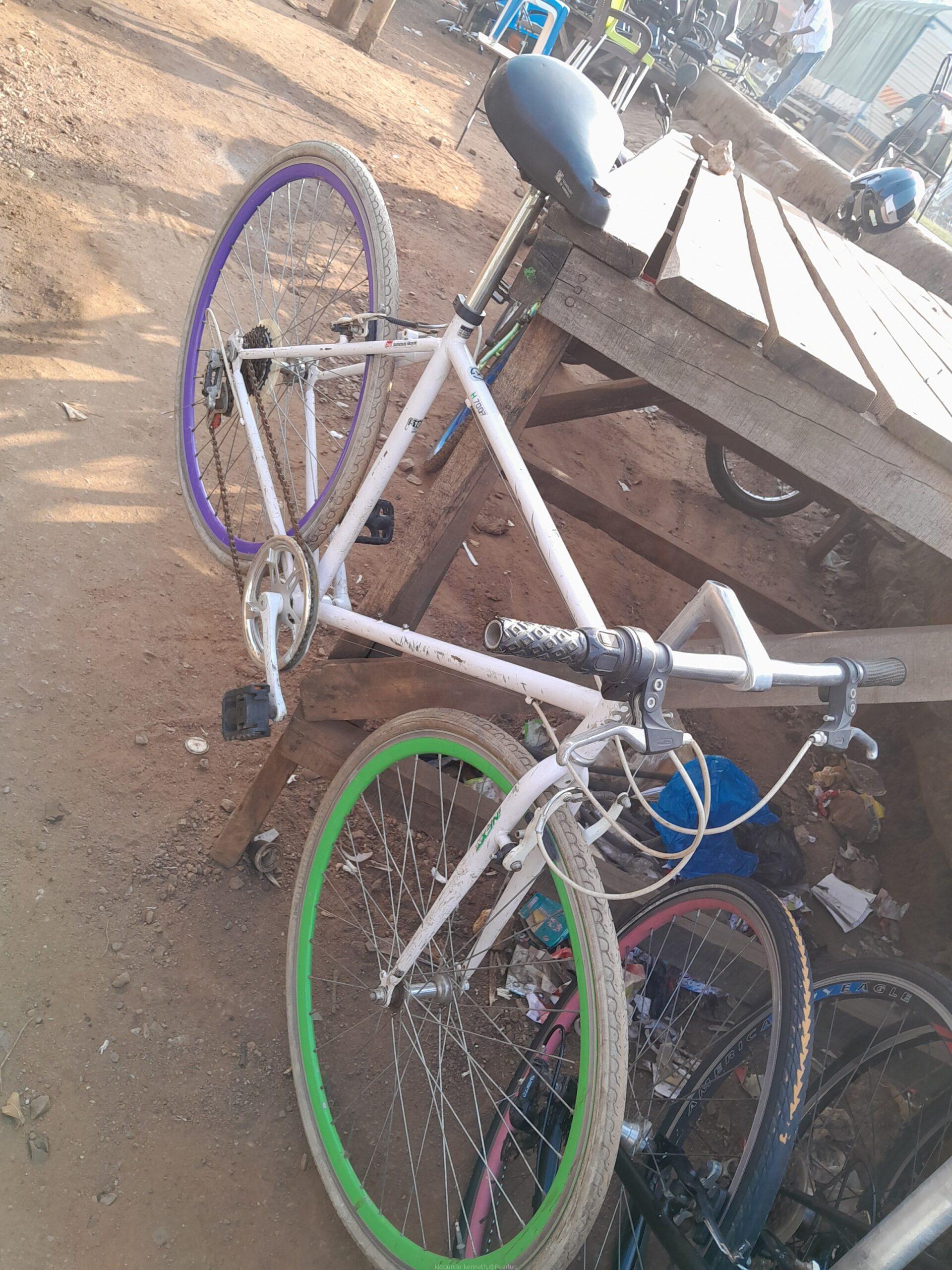 sport Bicycle