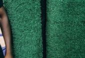 GREEN CARPET