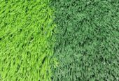 SPORTS TURF