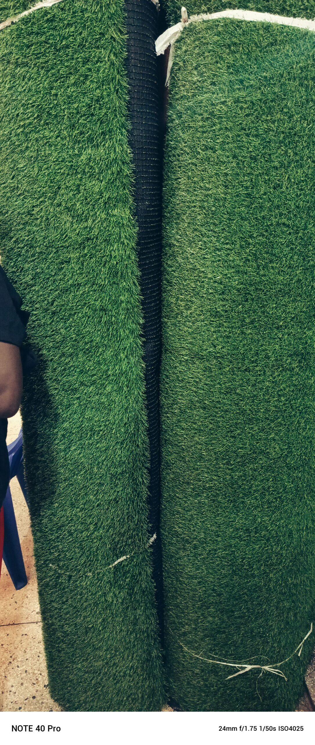 GREEN CARPET
