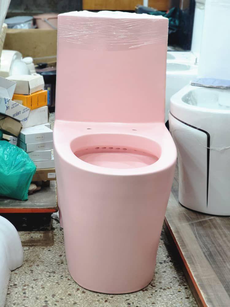 Toilet pick