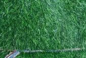 Green carpet
