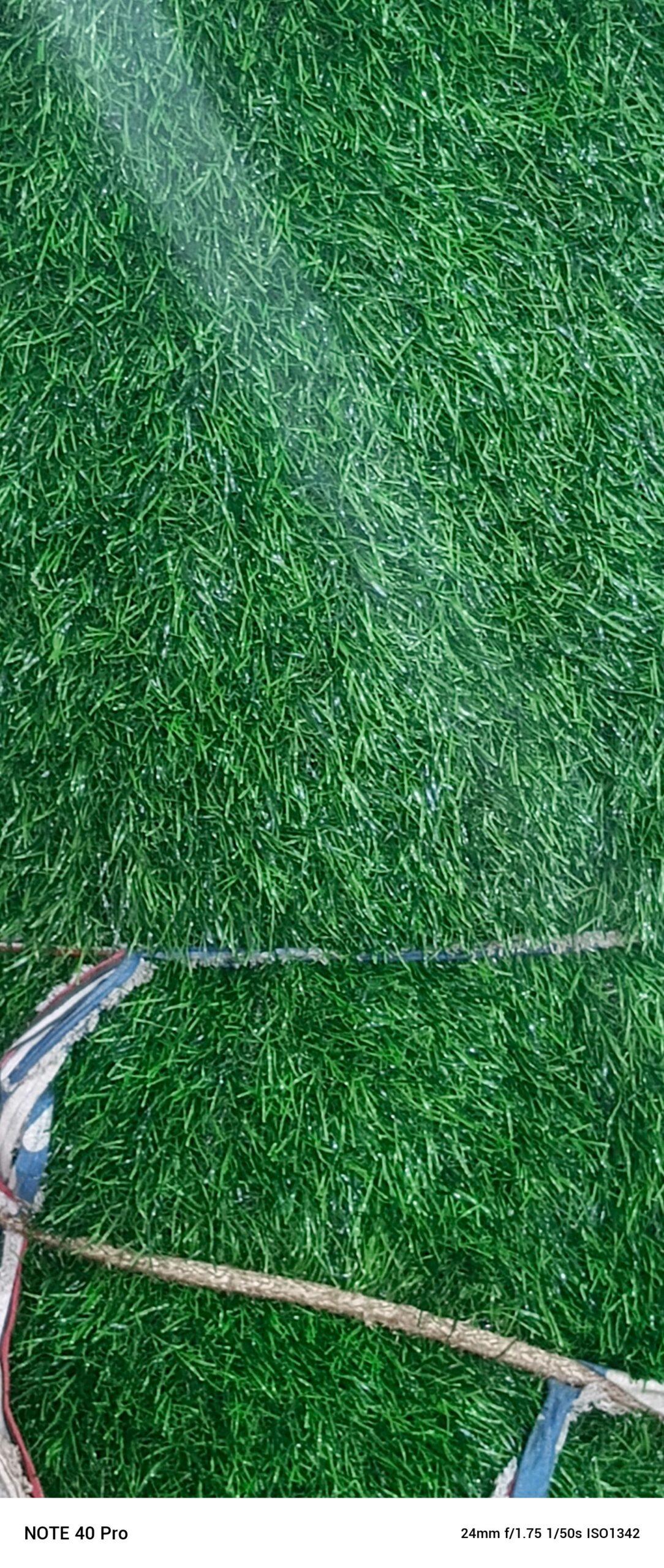 Green carpet