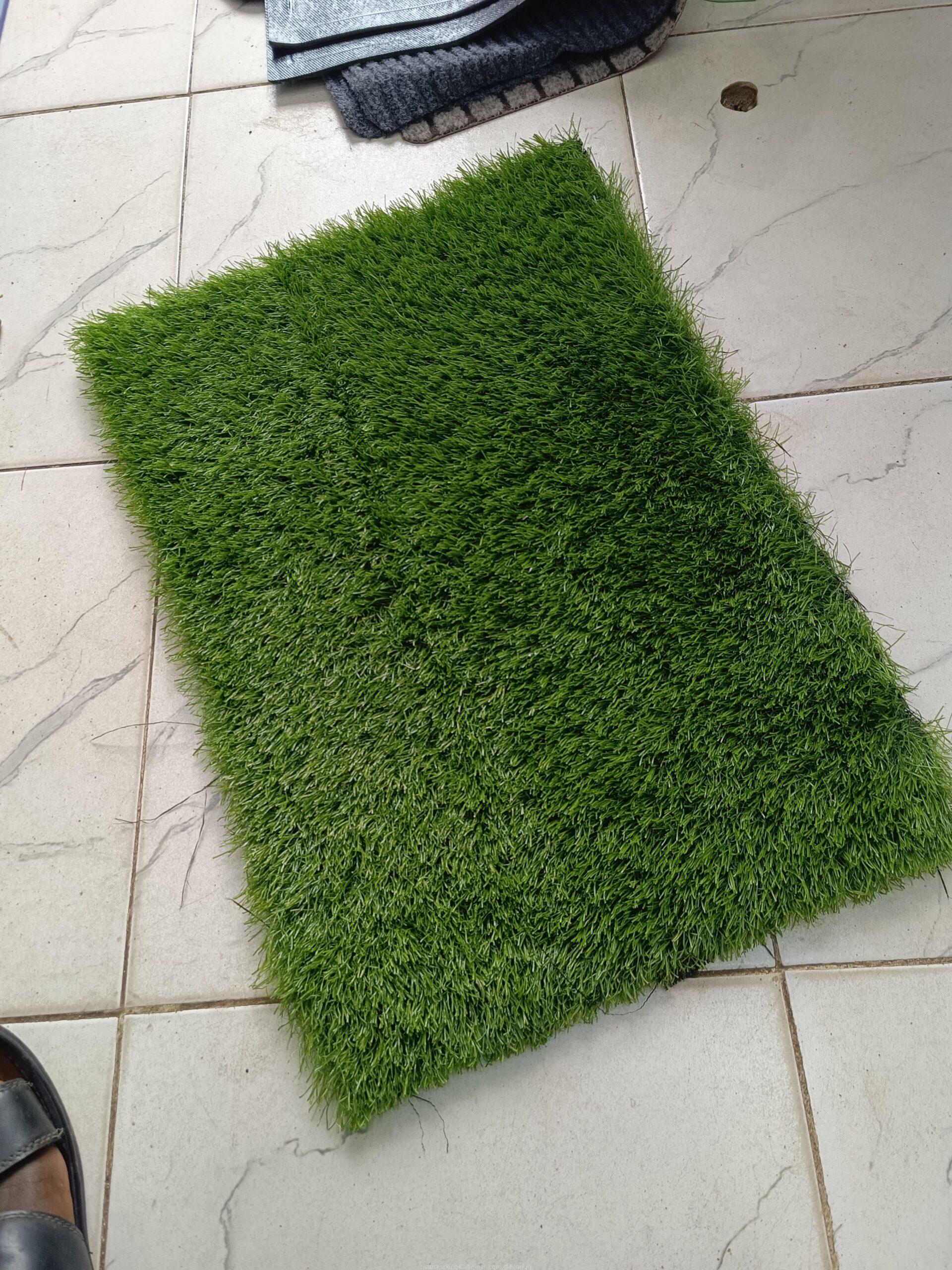 Grass Doormats