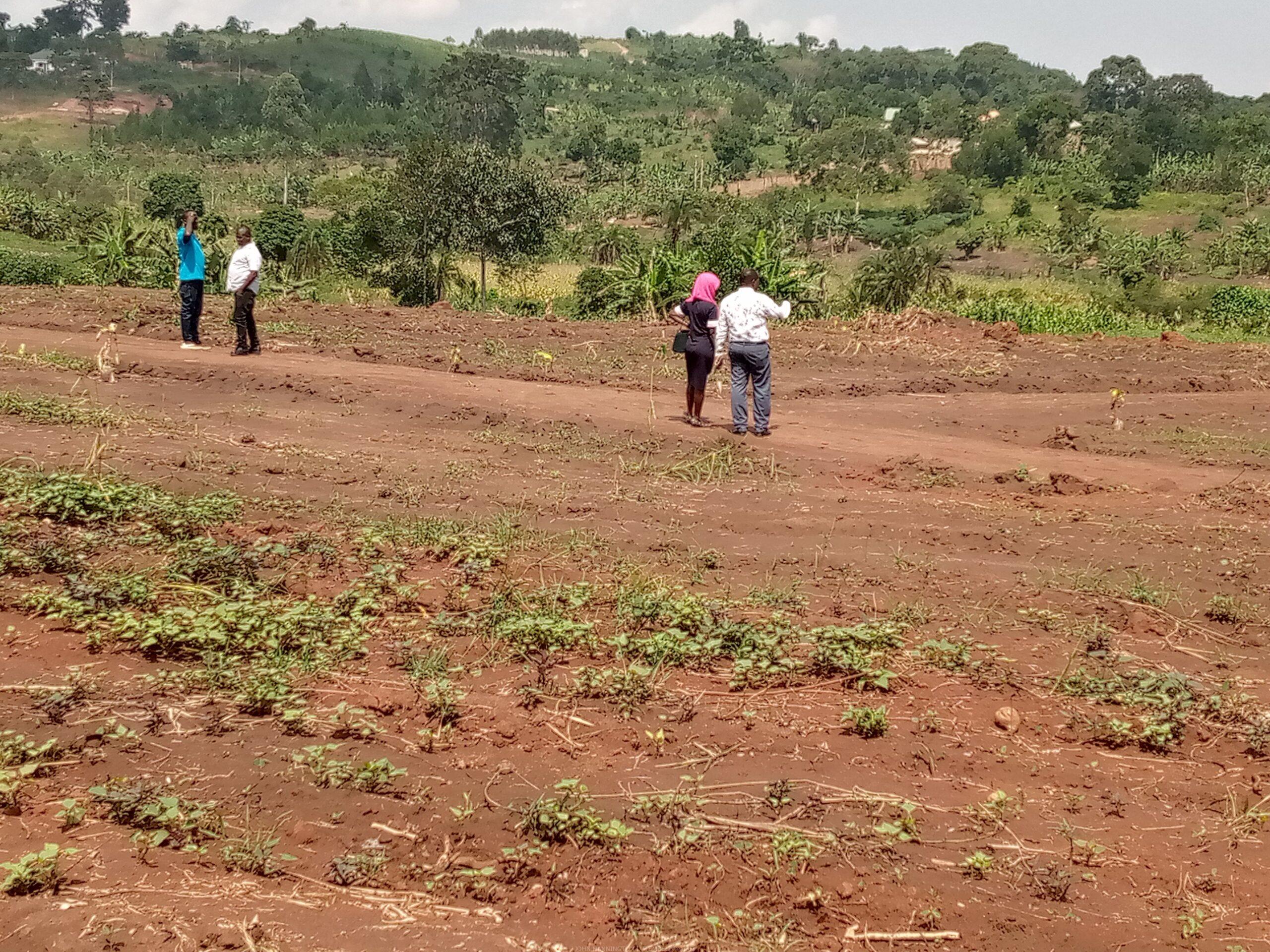 Commercial and Residential plots for sale located in GAYAZA BUSUKUMA NABUTITI