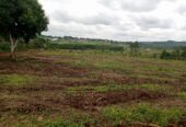 TITLED PLOTS FOR SALE LOCATED IN WAKISO KAKIRI MWERA