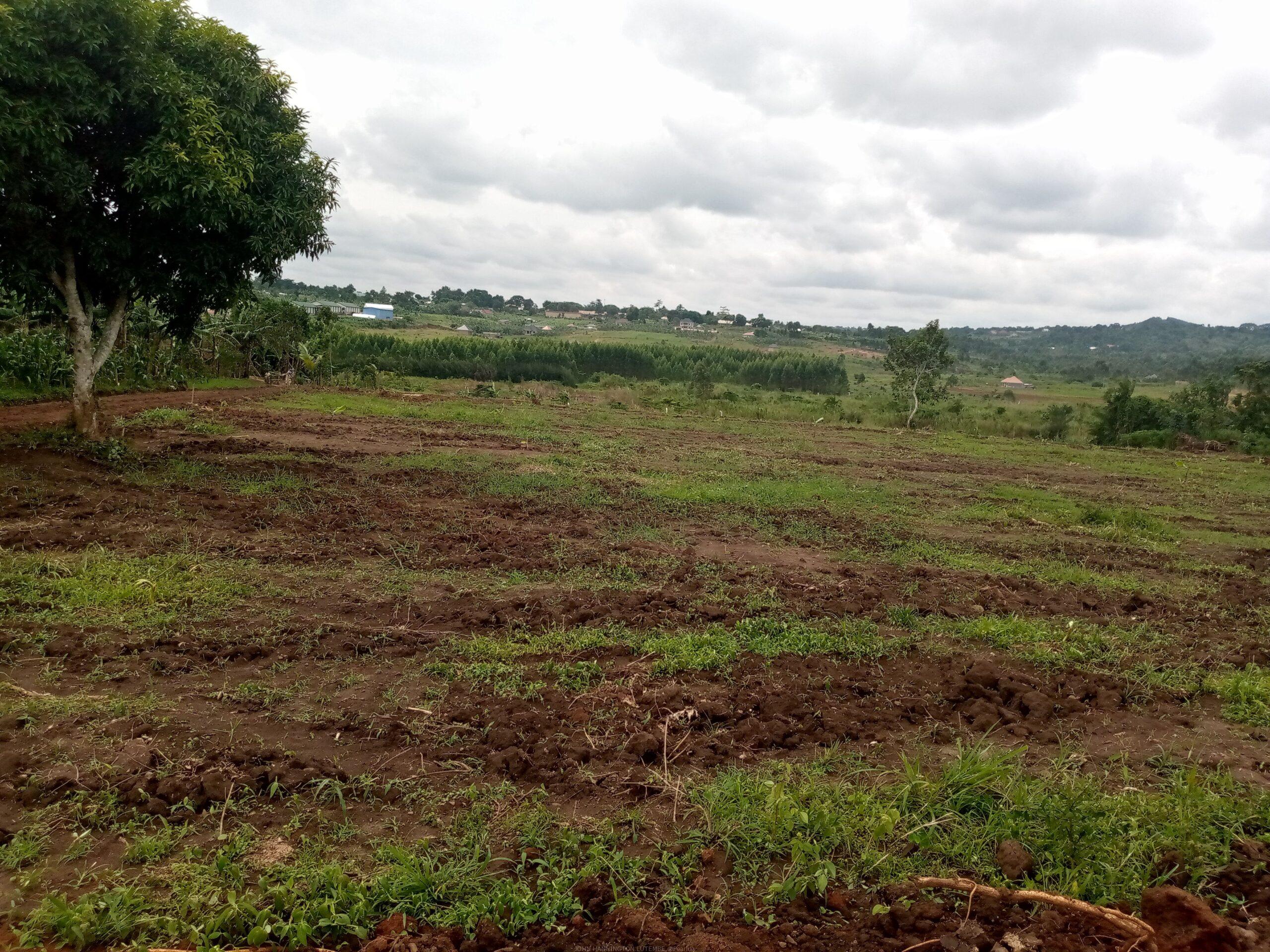 TITLED PLOTS FOR SALE LOCATED IN WAKISO KAKIRI MWERA