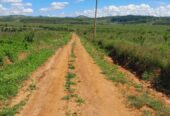 TITLED RESIDENTIAL PLOTS FOR SALE LOCATED IN WAKISO KAKIRI NSIMBAMANYO