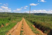 TITLED RESIDENTIAL PLOTS FOR SALE LOCATED IN WAKISO KAKIRI NSIMBAMANYO