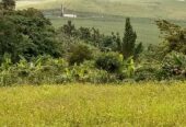 TITLED RESIDENTIAL PLOTS FOR SALE LOCATED IN LUGAZI BUIKWE NAJJEMBE BUVUNYA ESTATE WITH READY LAND TITLE