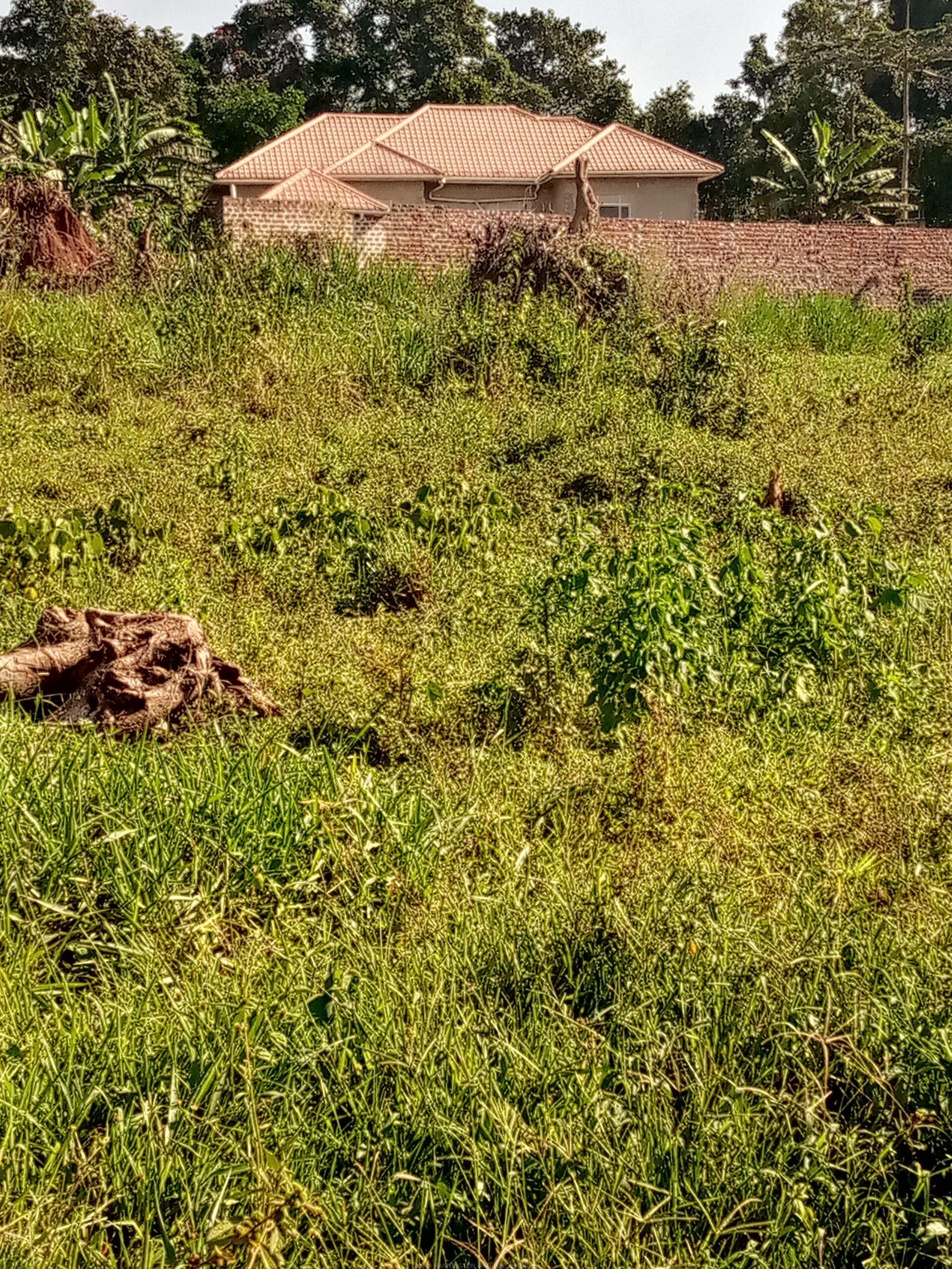 TITLED COMMERCIAL AND RESIDENTIAL PLOTS MEASURED 50*100FT FOR SALE LOCATED IN MUKONO NSABWE