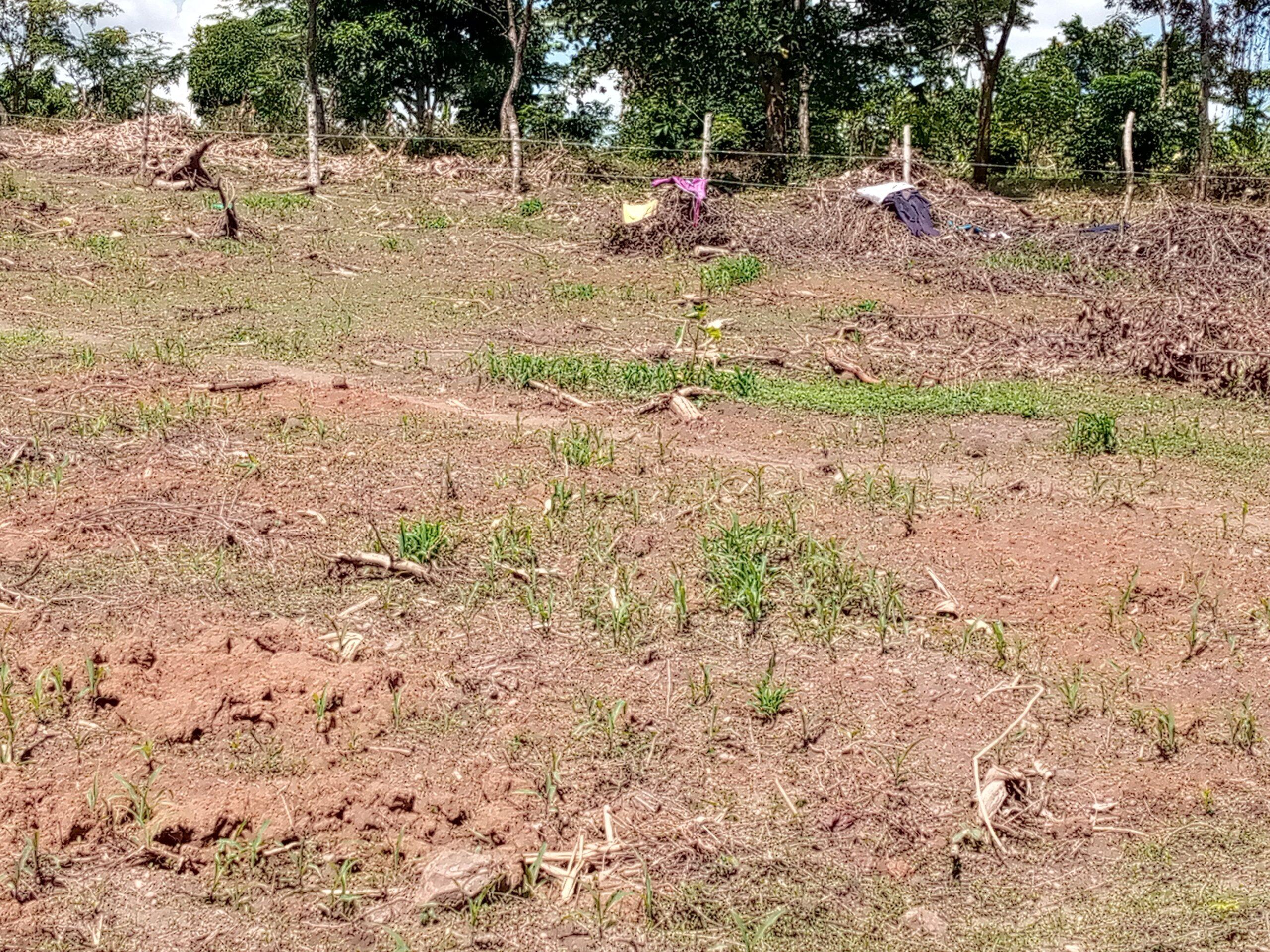 Titled plots on sale located in Wakiso Gobero LUTISI