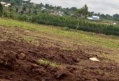 TITLED PLOTS FOR SALE LOCATED IN WAKISO KAKIRI MWERA
