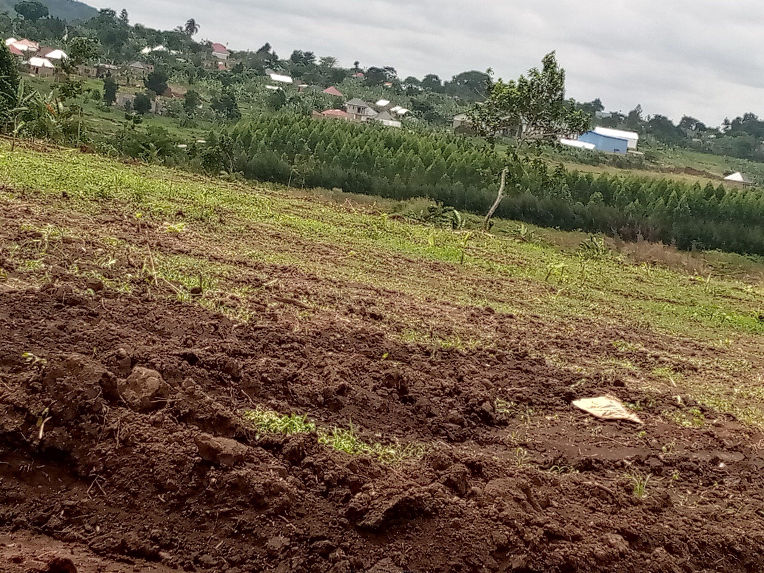 TITLED PLOTS FOR SALE LOCATED IN WAKISO KAKIRI MWERA