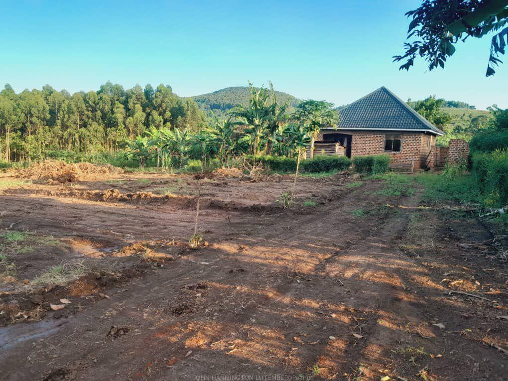 TITLED PLOTS FOR SALE LOCATED WAKISO GOBERO LUTISI